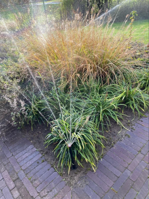 Gijsbertsen Beregening aan het werk