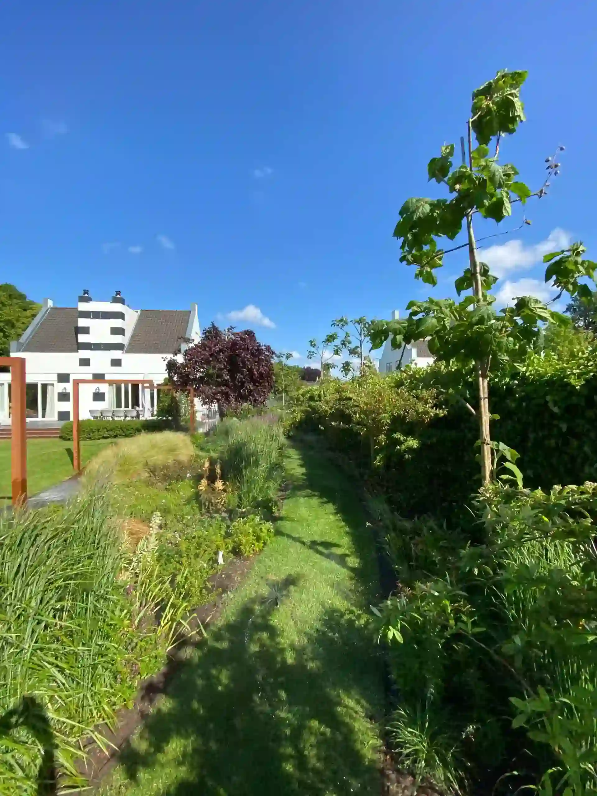 Project Ankeveen afbeelding 4