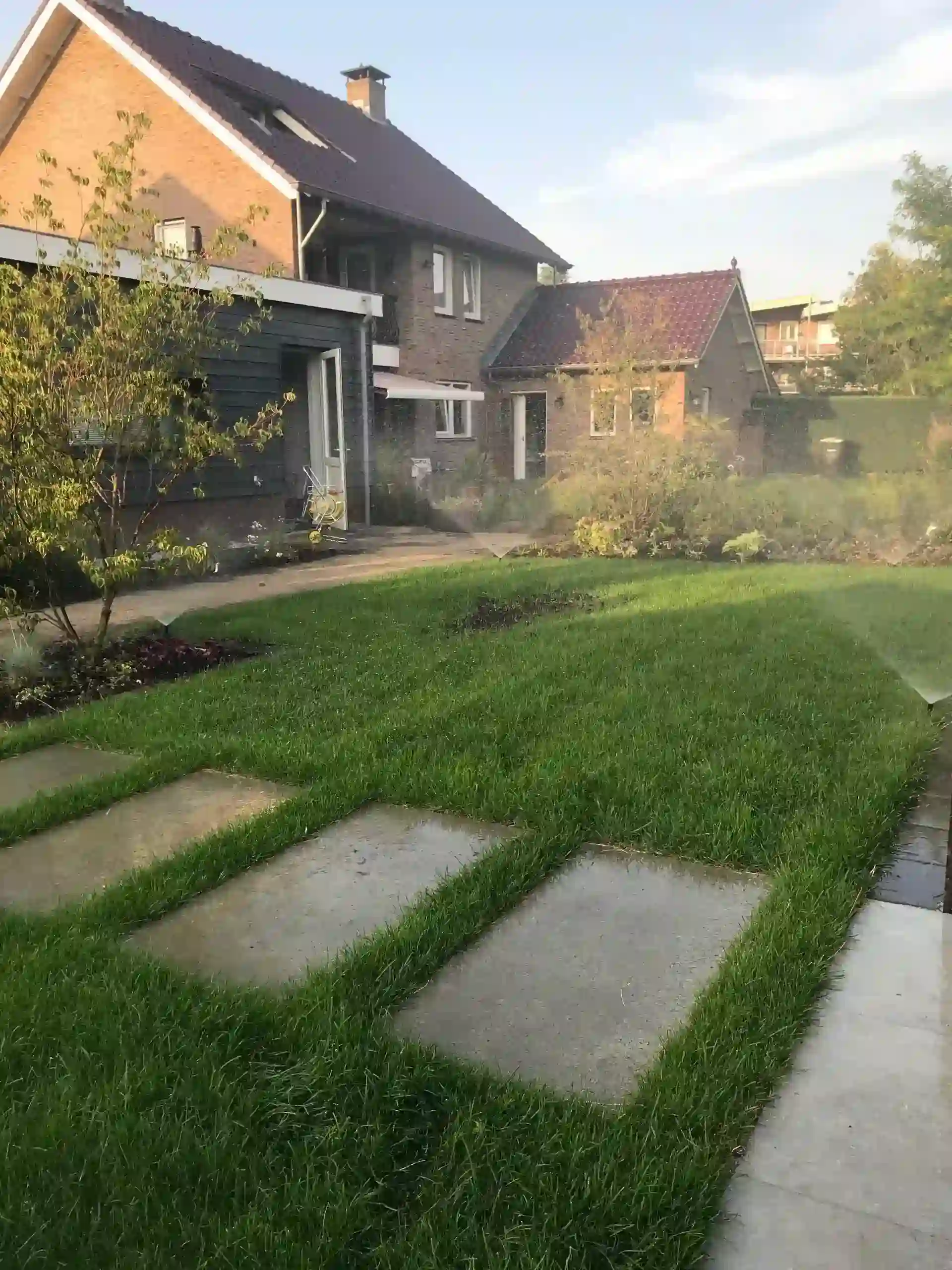 Project Ommen