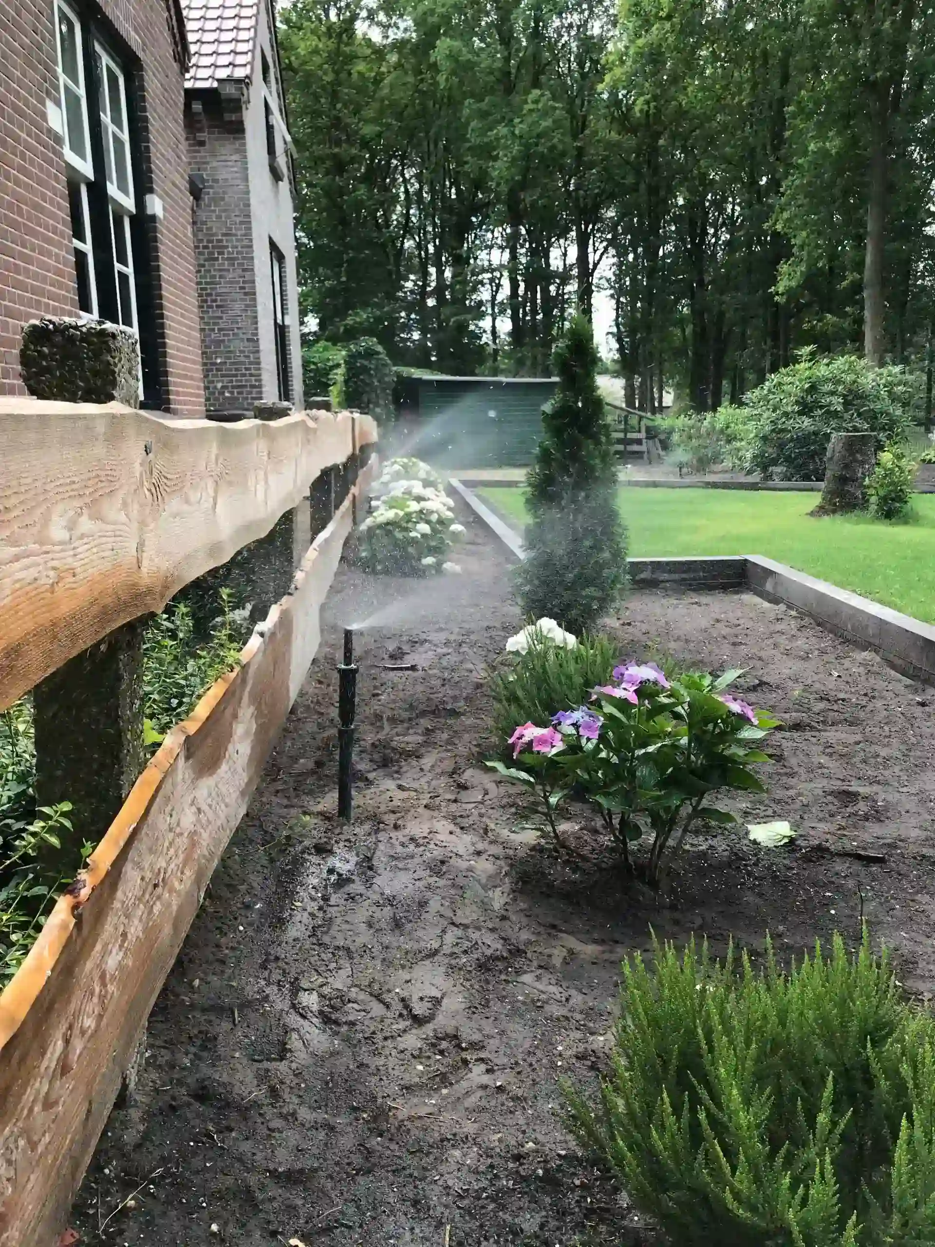 Project Sleen afbeelding 3